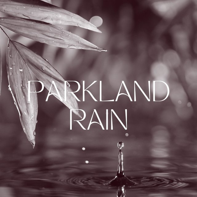 Parkland Rain