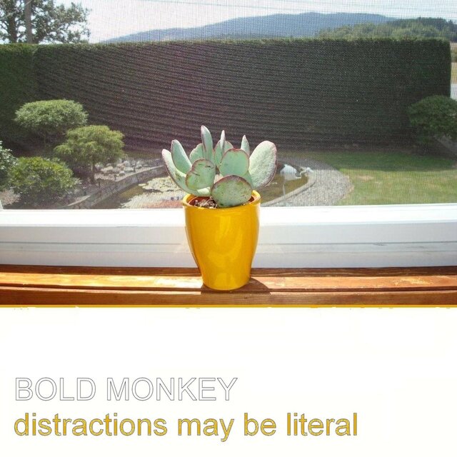 Distractions May Be Literal