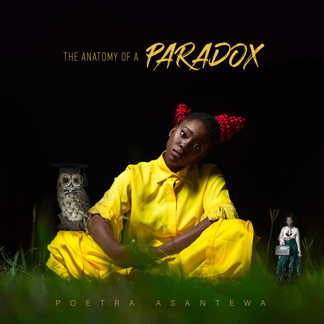 The Anatomy of a Paradox