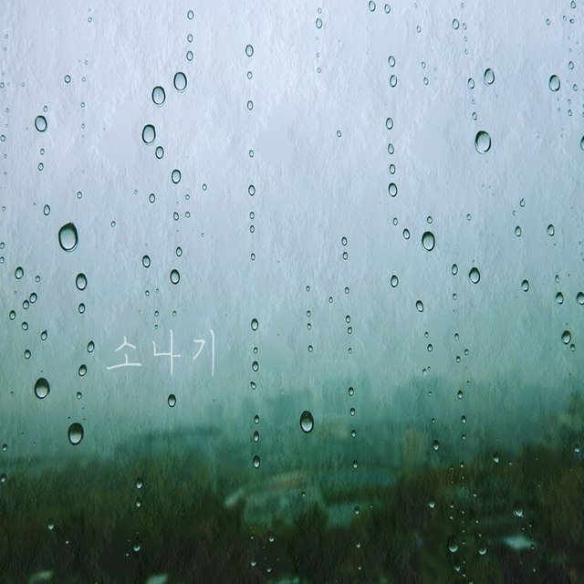 소나기