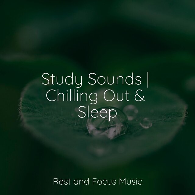 Study Sounds | Chilling Out & Sleep
