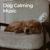 Calm Canine Melodies (No Fade, Loopable)