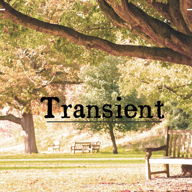 Transient