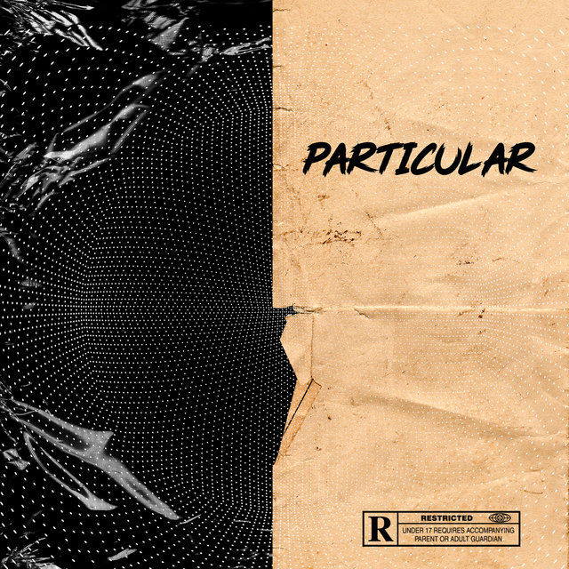 PARTICULAR