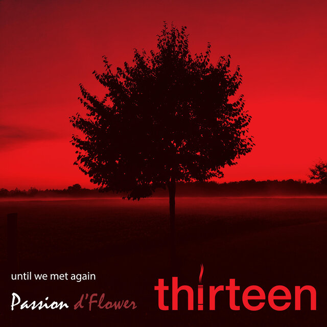 Thirteen