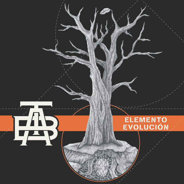 Elemento Evolución