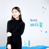 바다꽃