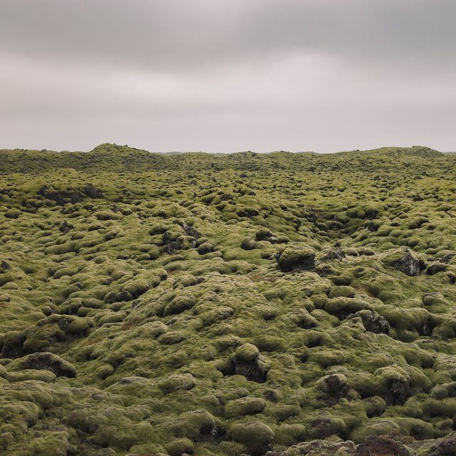 Classical New Age Piano Music On Tidal