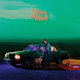 Cover art for album Time to Melt by Sam Evian