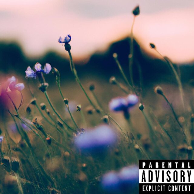 Schemes (Freestyle)