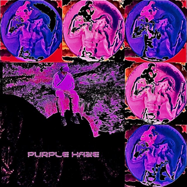 PURPLE HAZE