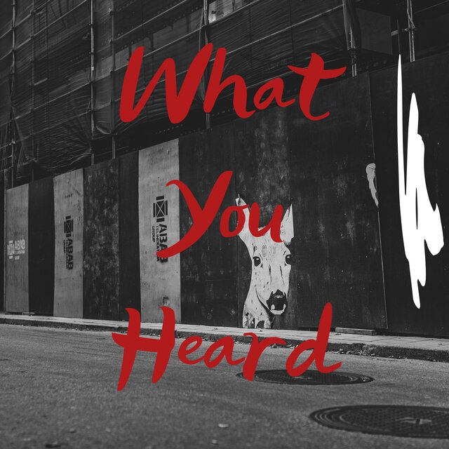 What You Heard