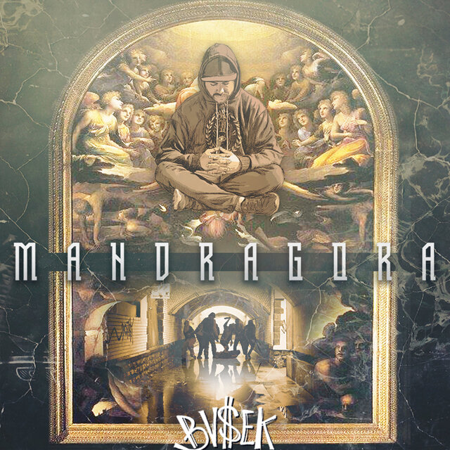 Mandragora