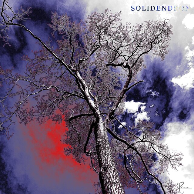 SOLIDENDRON