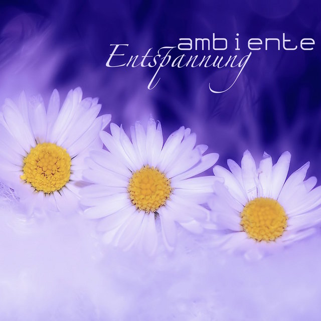 Ambiente Entspannung - Ruhige Hintergrundmusik und Naturgeräusche für Körper und Geist Entspannung