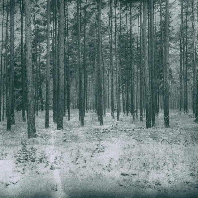 Isolation