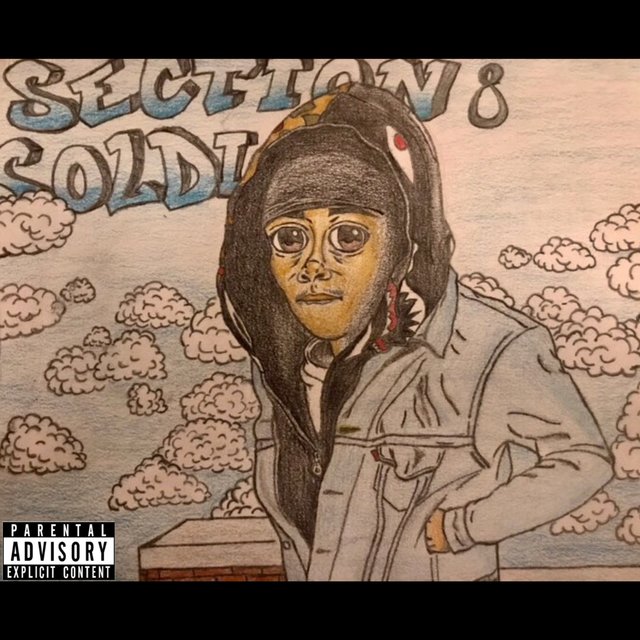 Section 8 Soldier