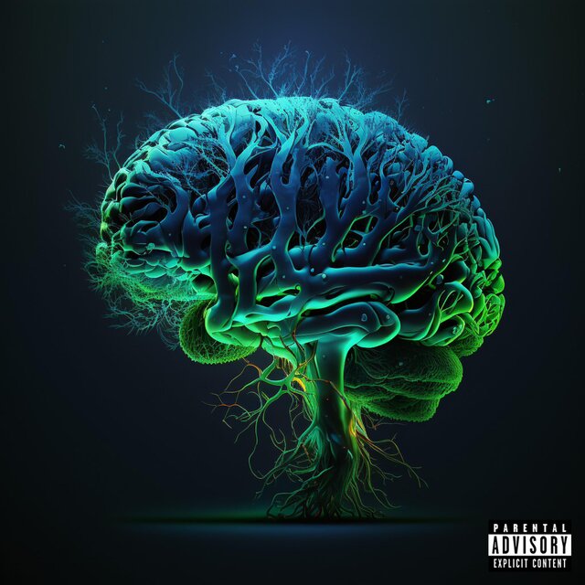 rewired