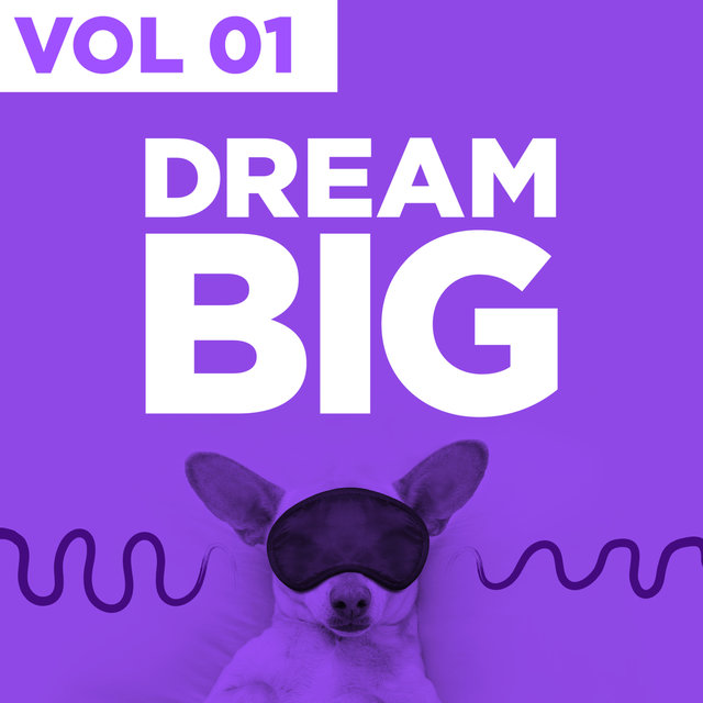 Dream Big, Vol. 1