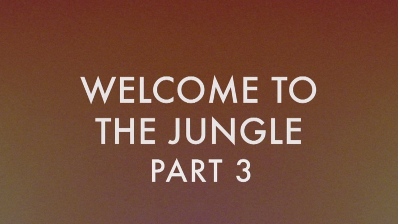 Welcome to The Jungle (Part 3)