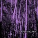 Cover art for album Crush Hazard by Crush Hazard
