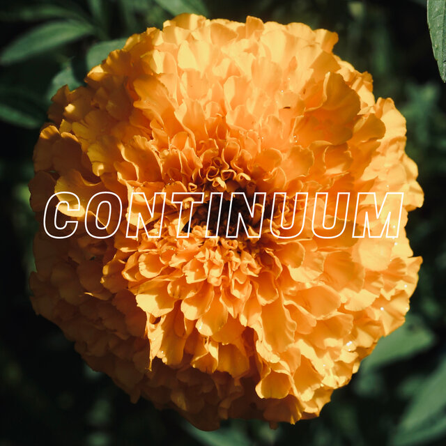 Continuum