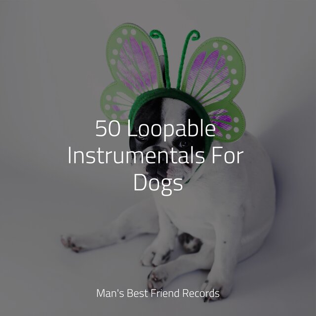 50 Loopable Instrumentals For Dogs