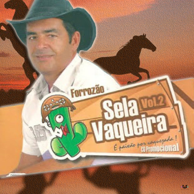 Forrozão Sela Vaqueira Vol.2