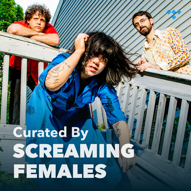 Cover art for album Screaming Females: Songs That Inspired ‘Desire Pathway’ by Screaming Females