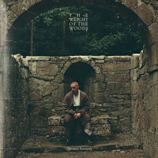Cover art for album The Weight of the Woods by Dermot Kennedy