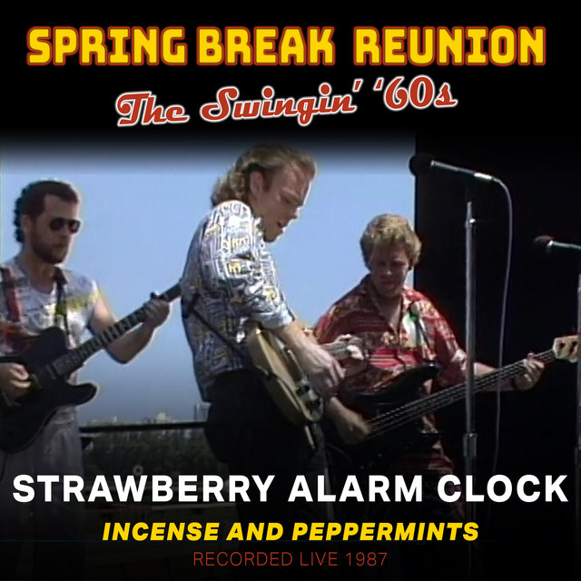 Spring Break Reunion: The Swingin' '60s
