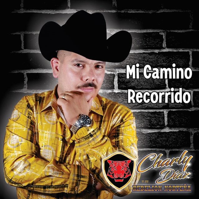 Mi Camino Recorrido