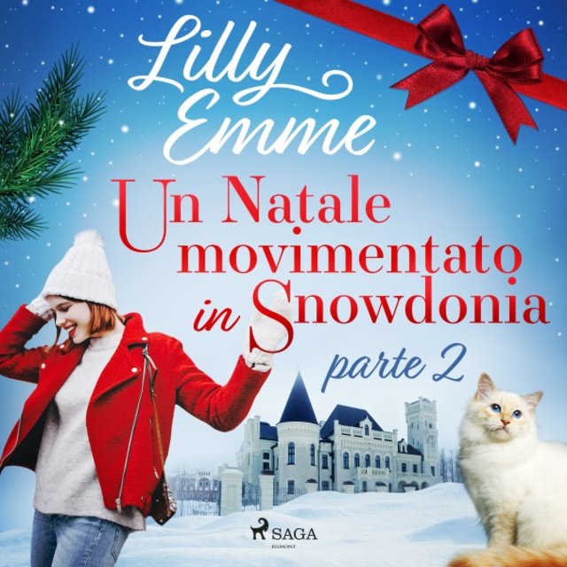 Un Natale movimentato in Snowdonia - Parte 2