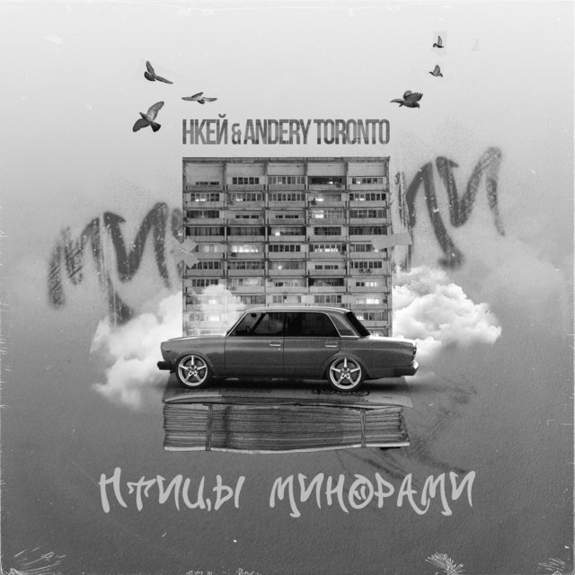 Птицы минорами