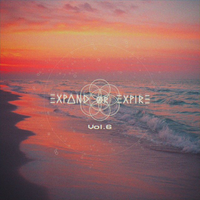 expand or expire., Vol. 6