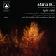 Cover art for album Spike Field by Maria BC