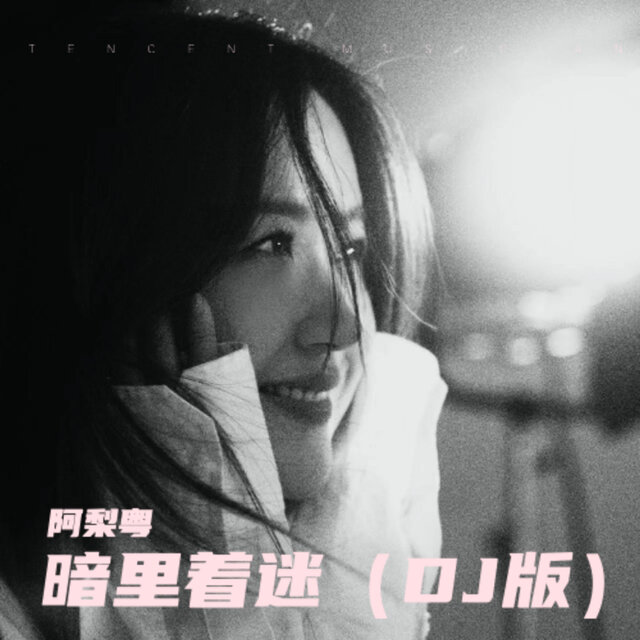 暗里着迷 (DJR7女声版)