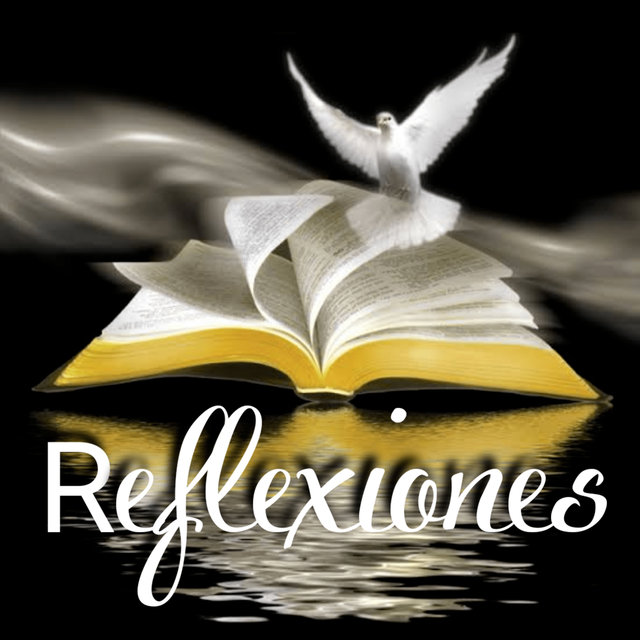 Reflexiones