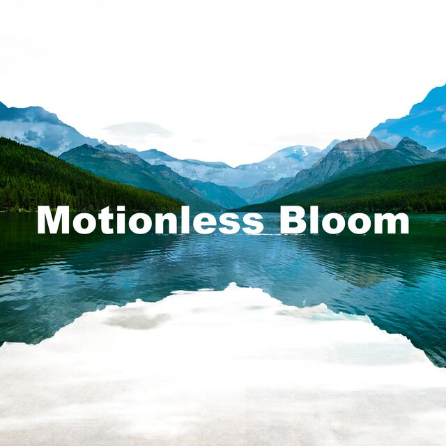 Motionless Bloom
