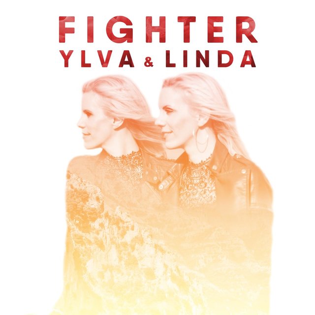 Fighter