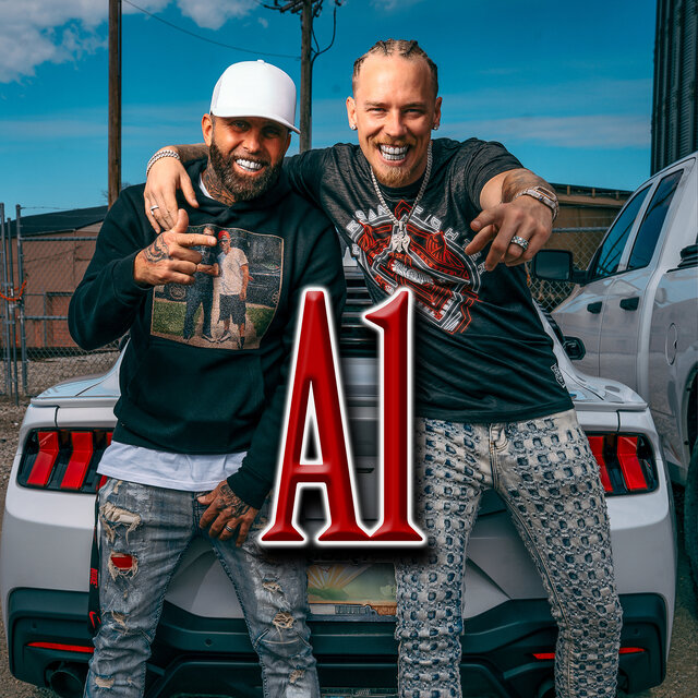 A1