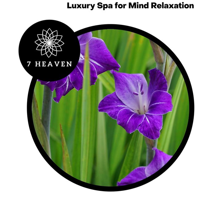 Luxury Spa For Mind Relaxation