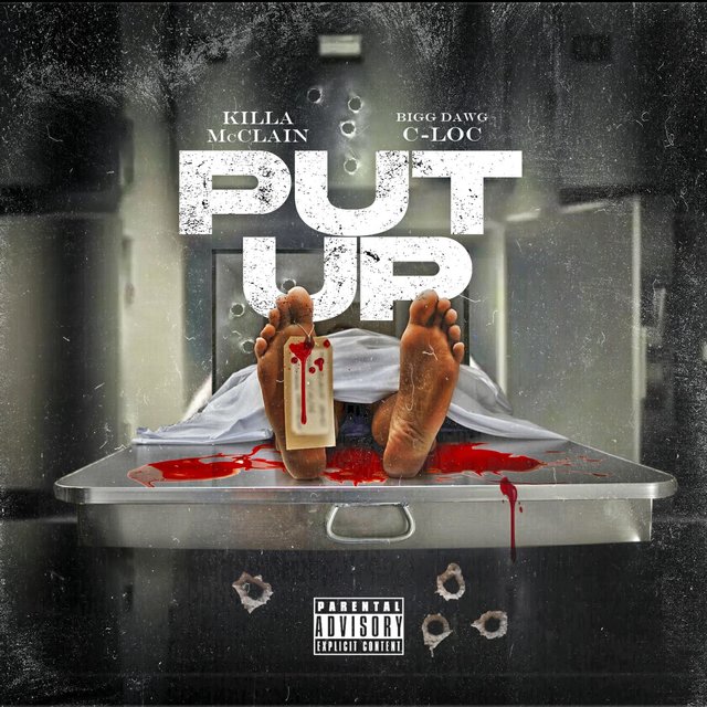 Put Up (feat. Bigg Dawg C LOC)