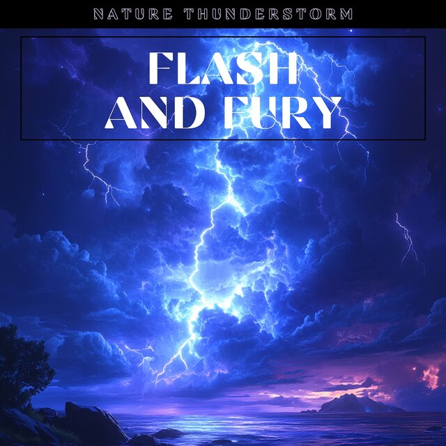 Flash and Fury