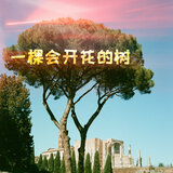 等你下課