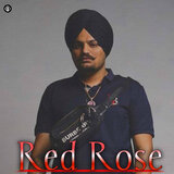 Red Rose