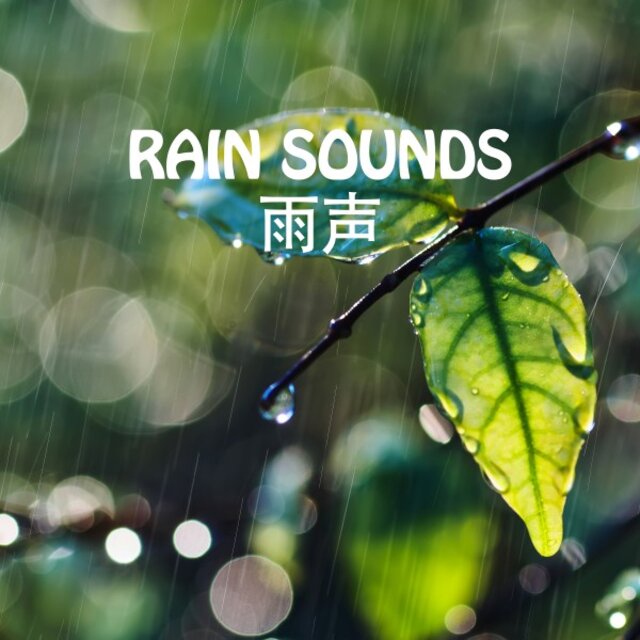 Rain Sounds