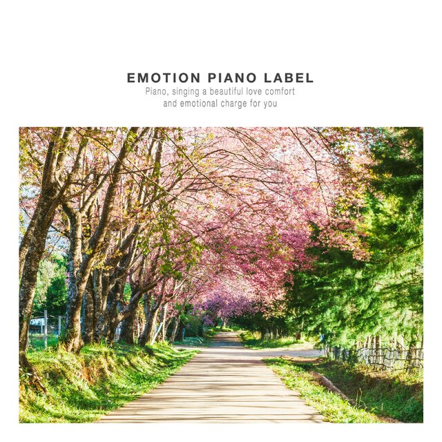Warm New Age Listening with Cherry Blossoms