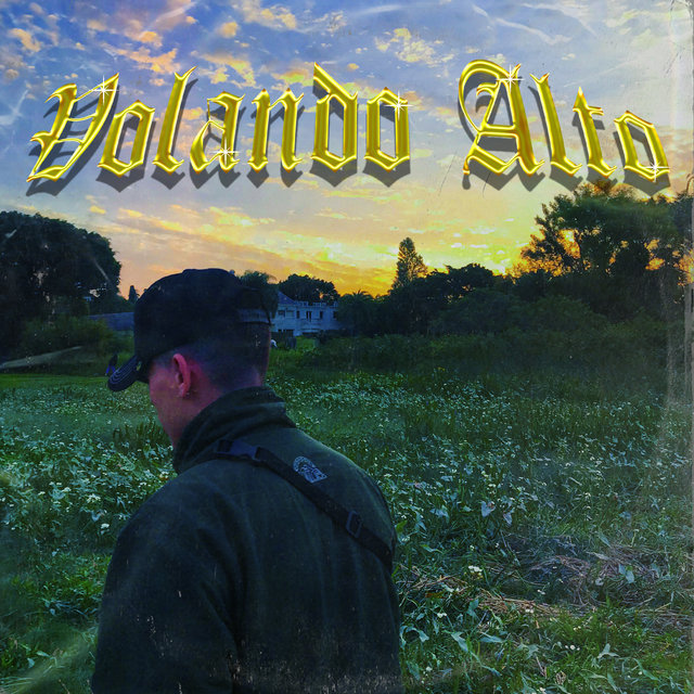 Volando Alto