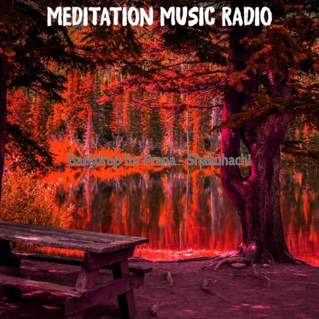Backdrop for Prana - Shakuhachi